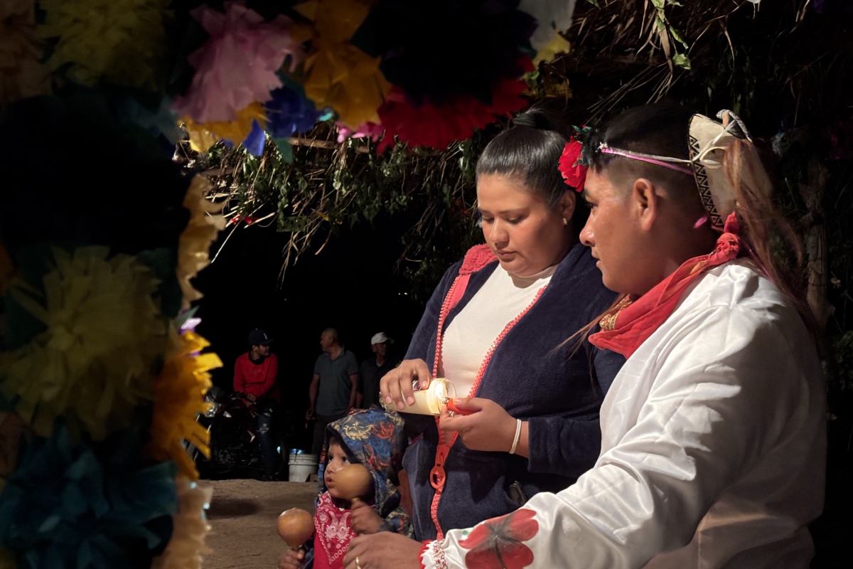 venado-danza-cultura-ténabari-sinaloa