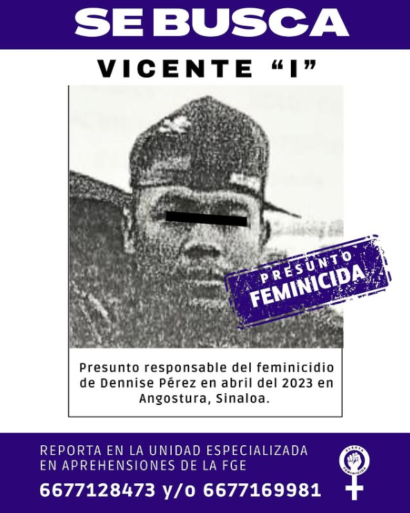 denisse-pérez-feminicidio-sinaloa-alerta-feminicida