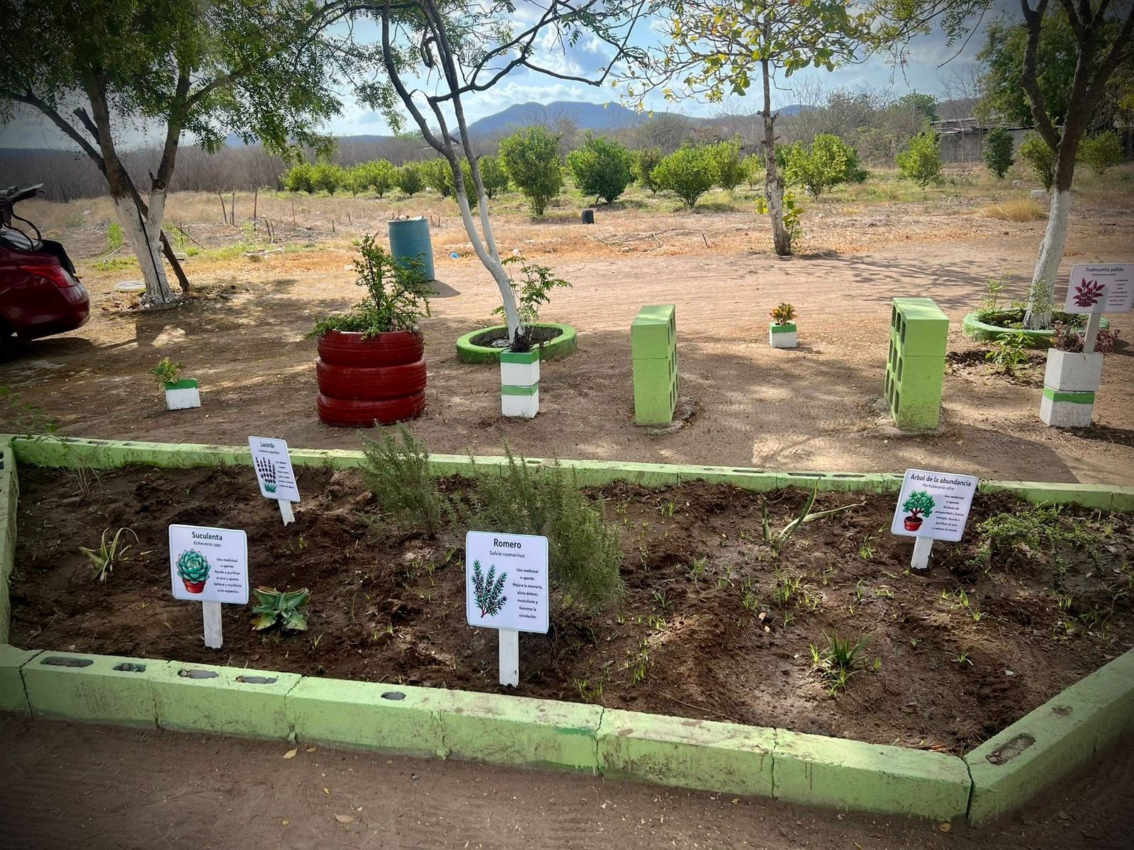 farmacia-viviente-mazatlan-sinaloa