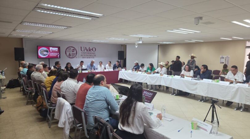 Gobierno de México impulsa acuerdos para fortalecer la transparencia ambiental y la restauración de la Bahía de Ohuira