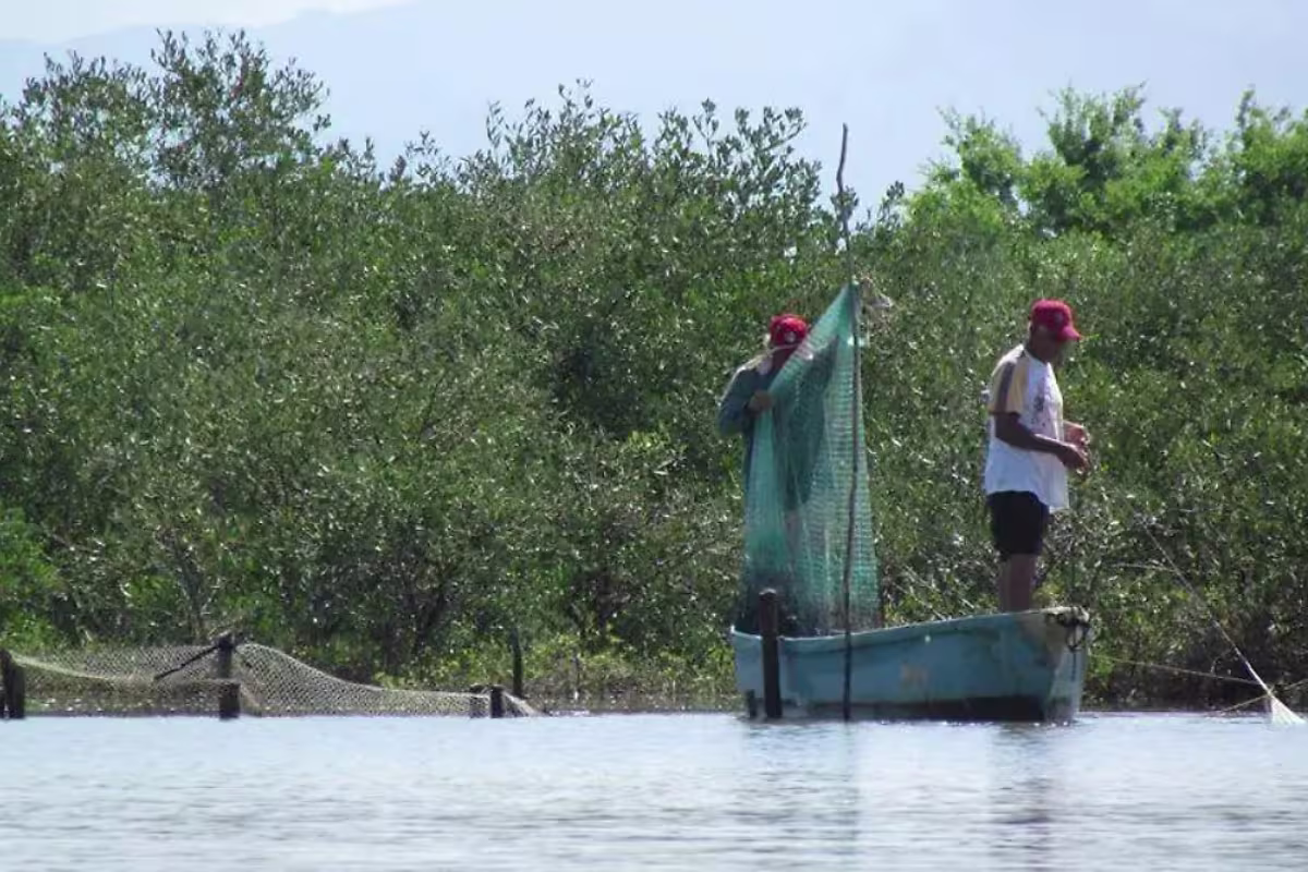 pesca-escuinapa-sinaloa