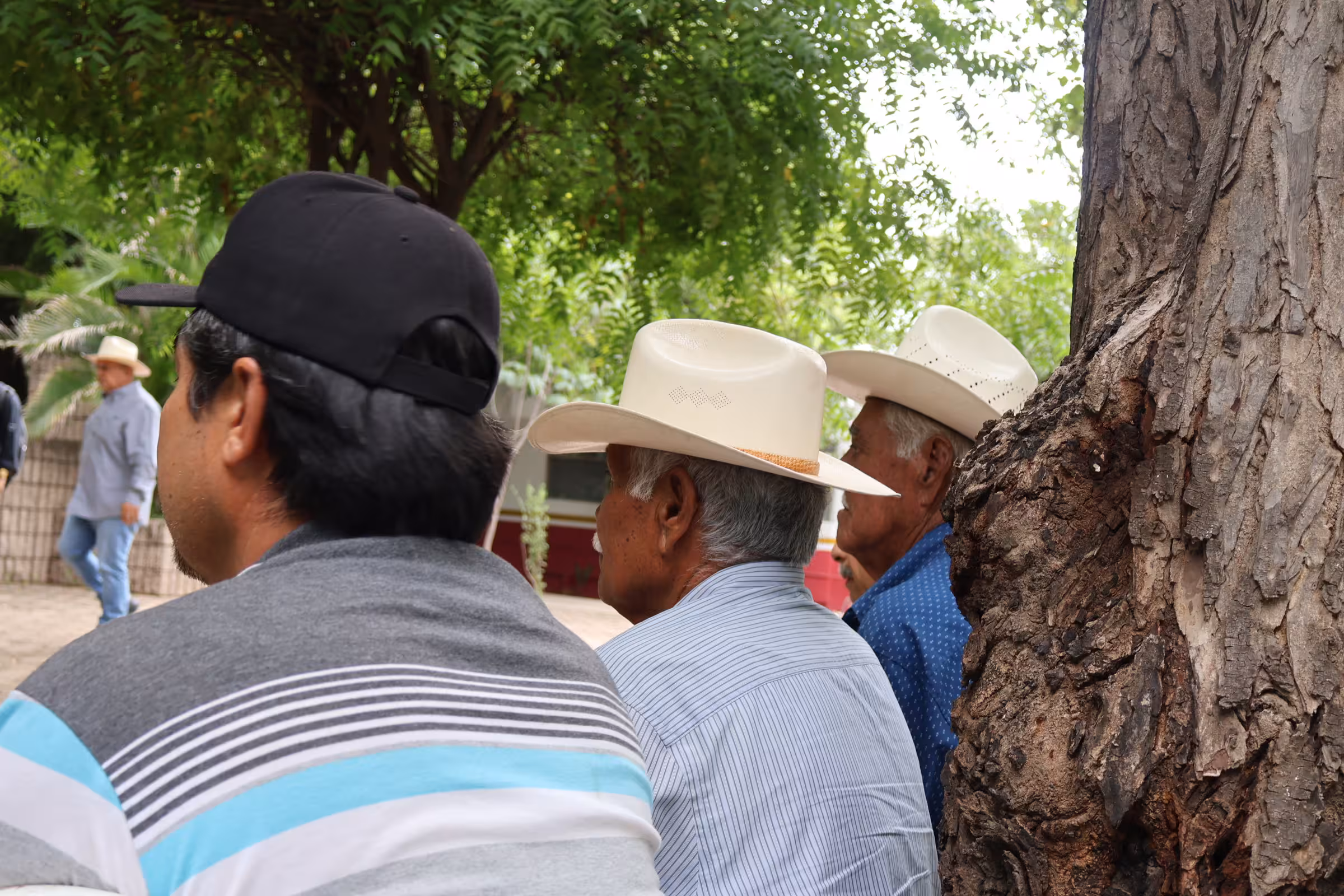 Agricultores protestando en Culiacán