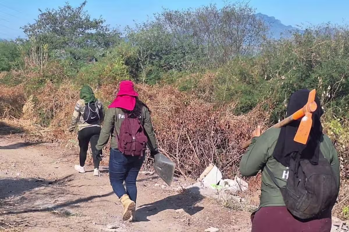 colectivo-donde-estan-culiacan
