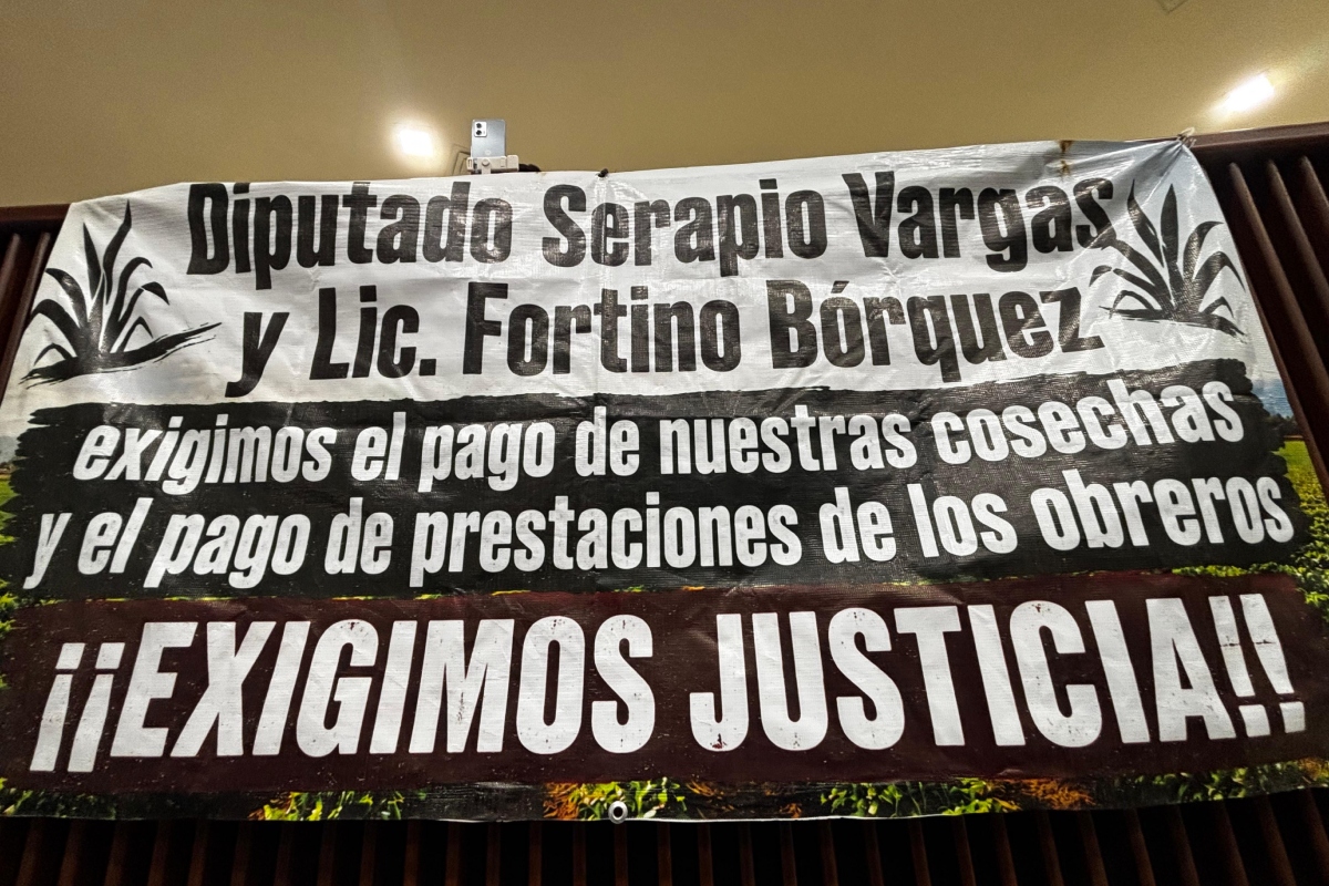 CAÑEROS-CFE-MANIFESTACION-SINALOA