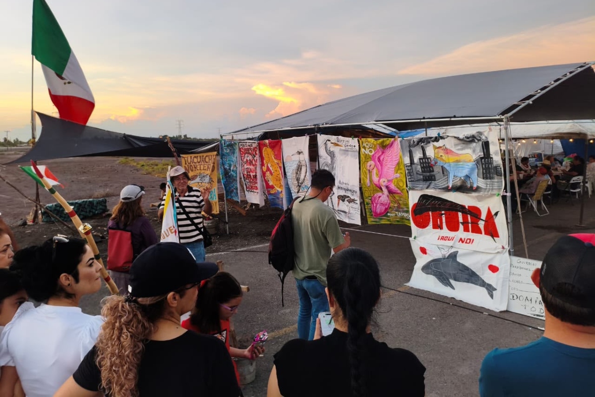 colectivo-sinaloa-ohuira-artivismo-cine-topolobampo
