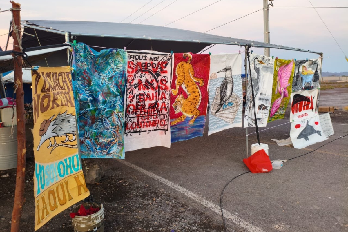 topolobampo-sinaloa-ohuira-artivismo-colectivo