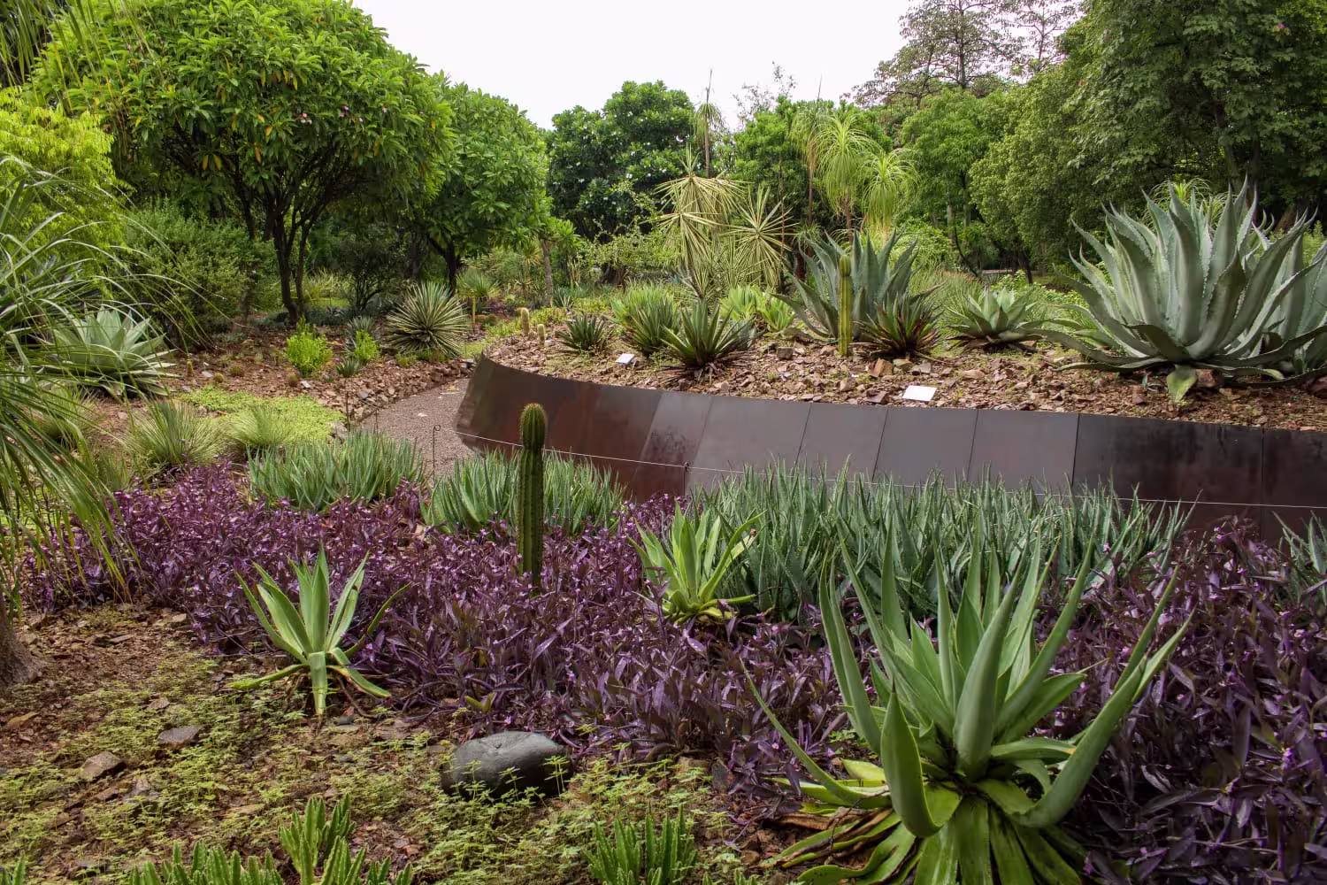 jardín-botánico-culiacán