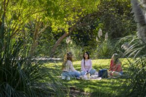 Picnic, naturaleza y Malcolm: una tarde diferente llega al Jardín Botánico Culiacán