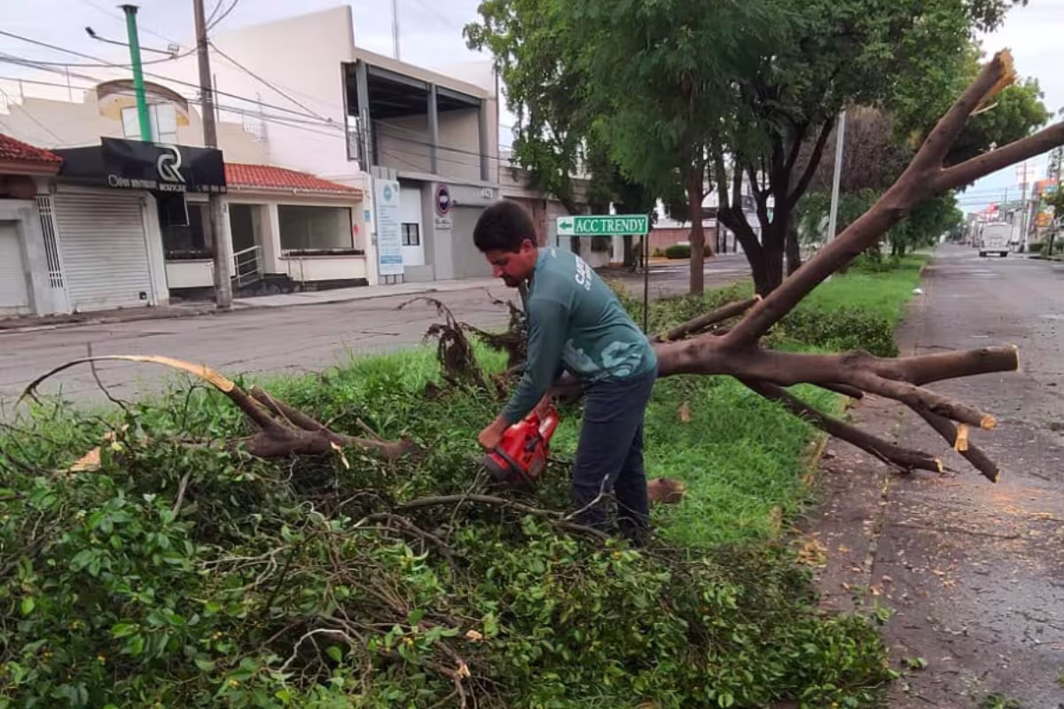 árboles-reportes-culiacán-lluvias-afectaciones