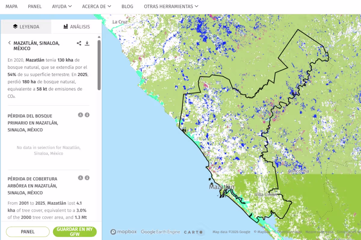 global-forest-watch-perdida-cobertura-arborea-mazatlan